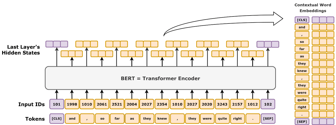../_images/Figure_6_16_BERT_illustrate.png